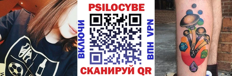 где продают наркотики Александровск-Сахалинский MEGA Галлюциногенные грибы мицелий